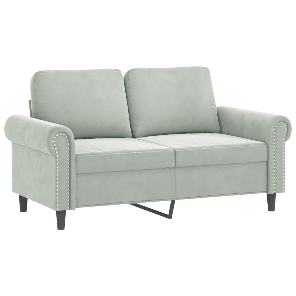 Light Gray Velvet 2 Piece Sofa Set X239823