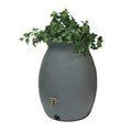 50-Gallon Rain Barrel N446129