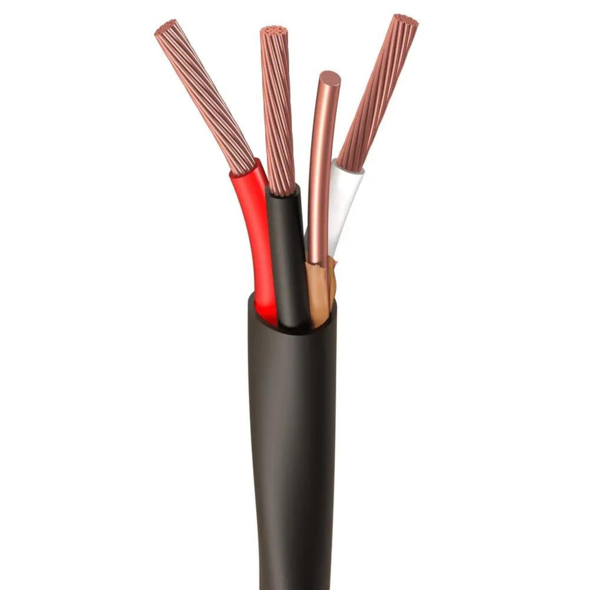 Black 100 Ft Non-Metallic Sheathed Cable Y40005