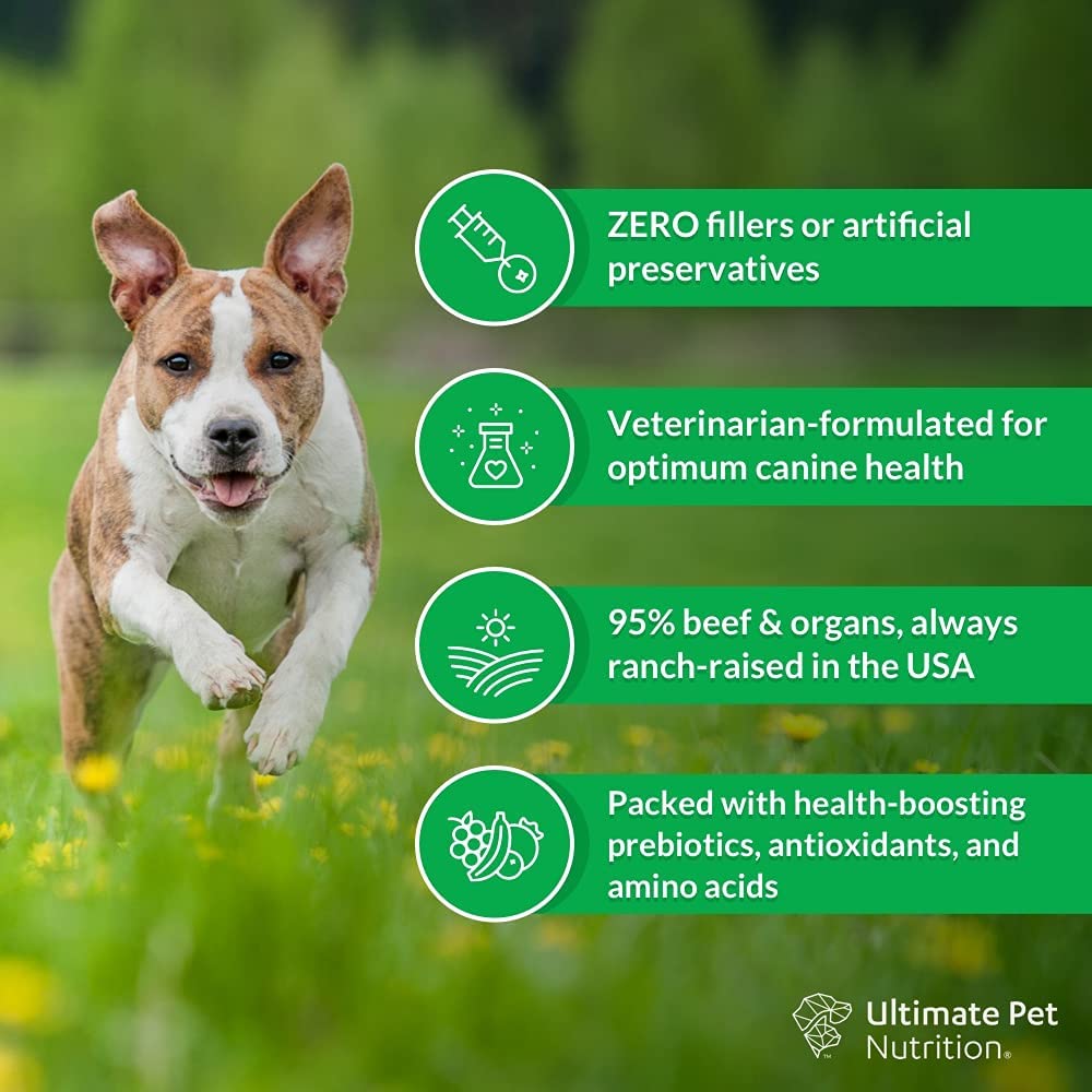 Freeze Dried Raw Dog Food with Antioxidants Prebiotics and Amino Acids, 1 Pound Beef Q1386