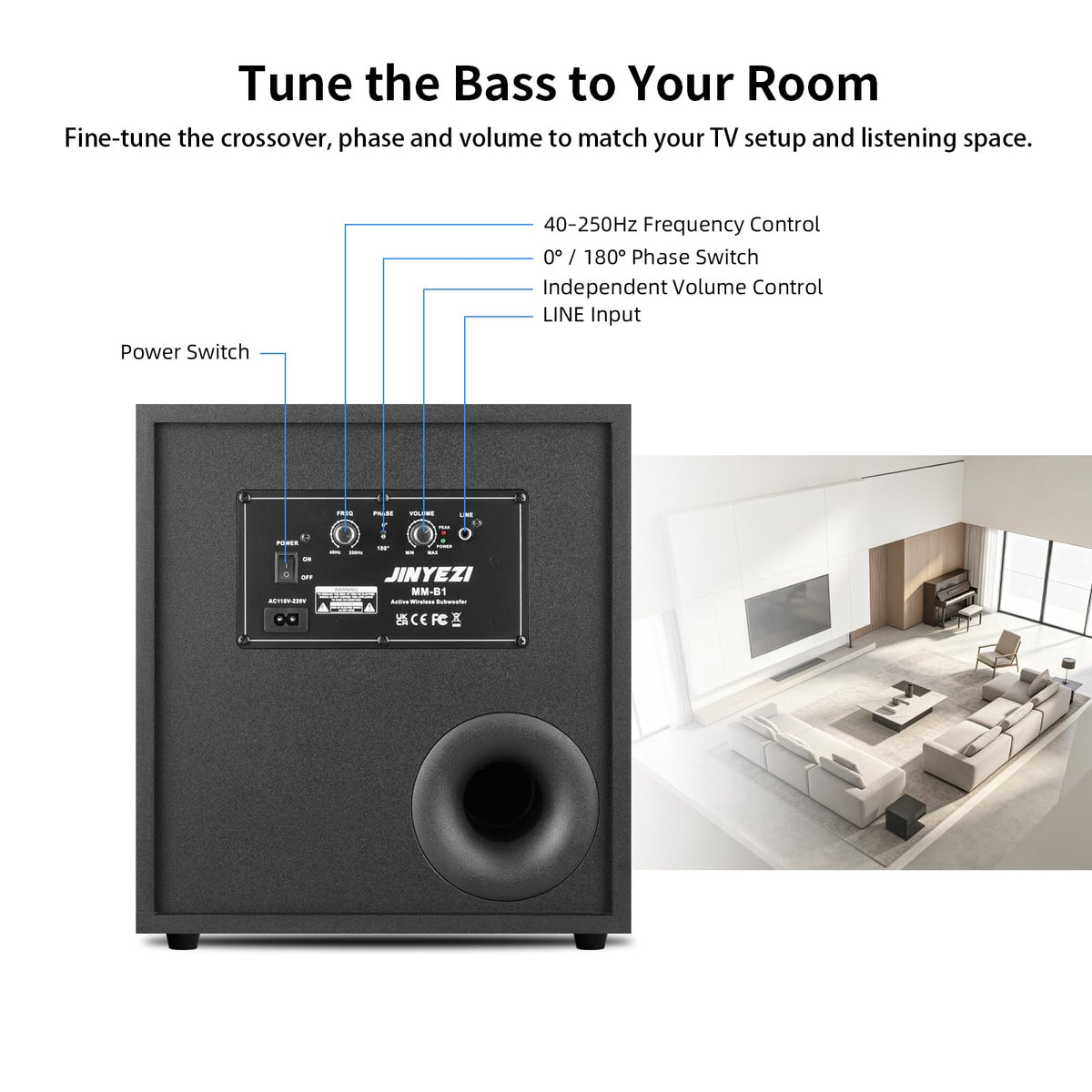 10" Powered Wireless Subwoofer G18596