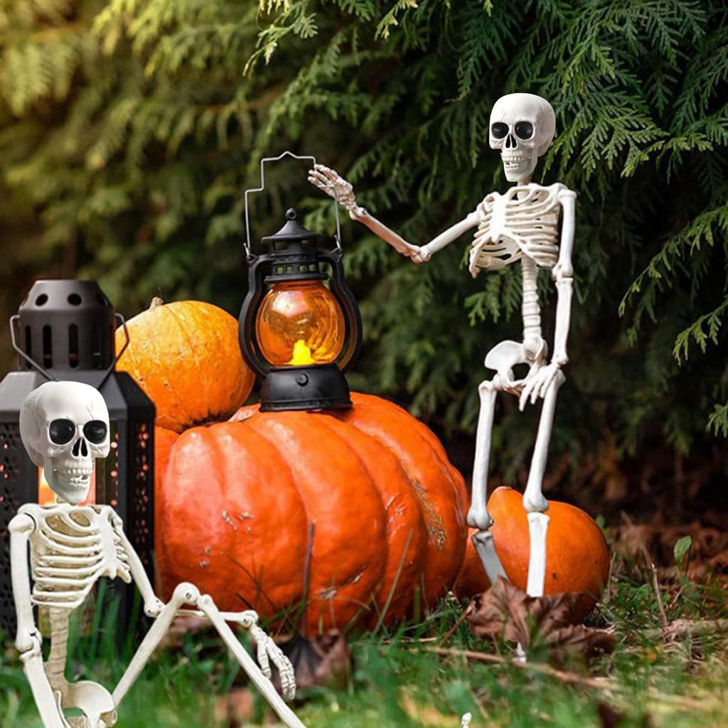 5.4Ft/165cm Life Size Skeleton with Movable Joints L7630