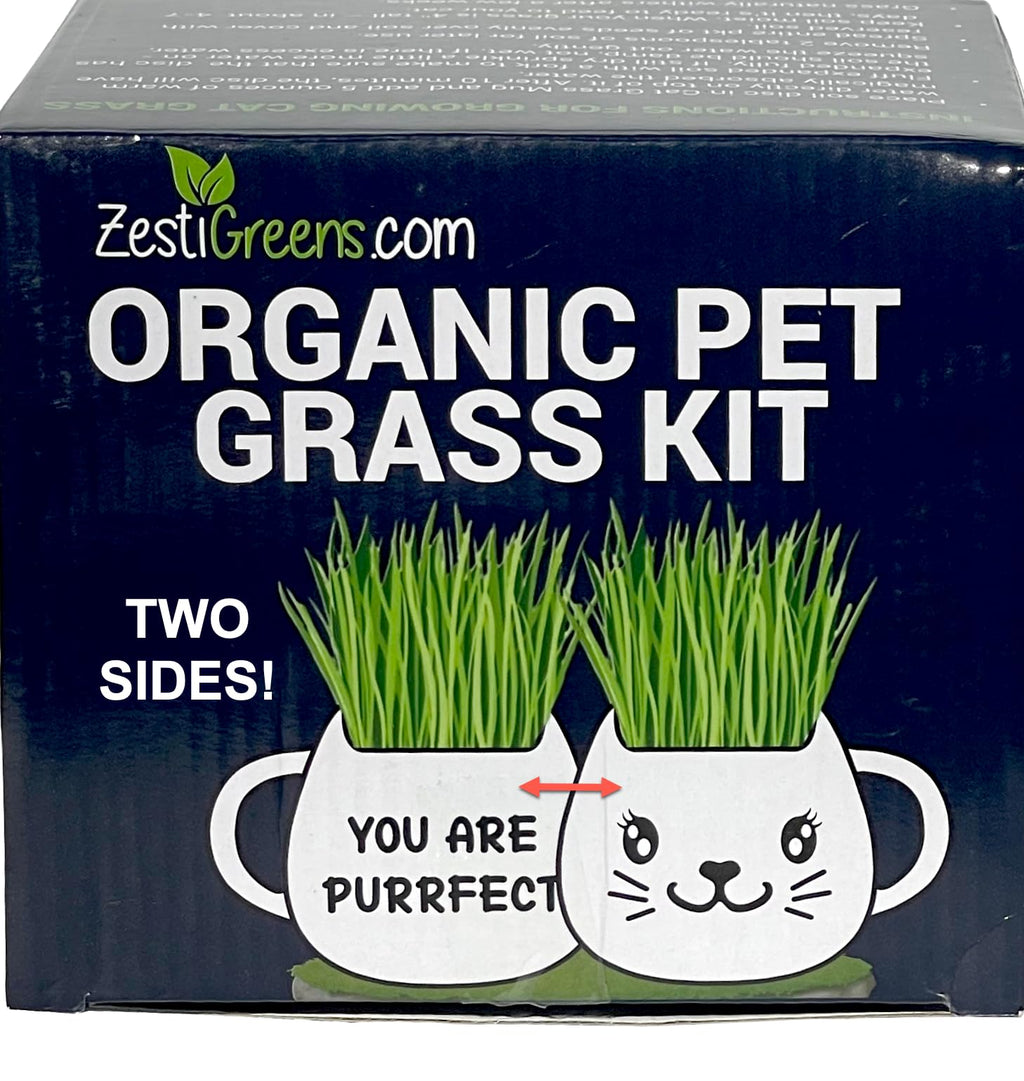 Cat Grass Growing Kit with Seeds, Soil & Ceramic Planter I2752