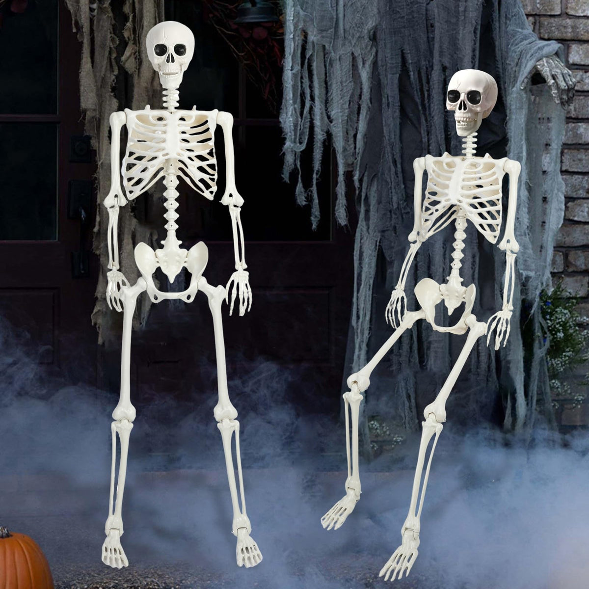 5.4Ft/165cm Life Size Skeleton with Movable Joints L7630