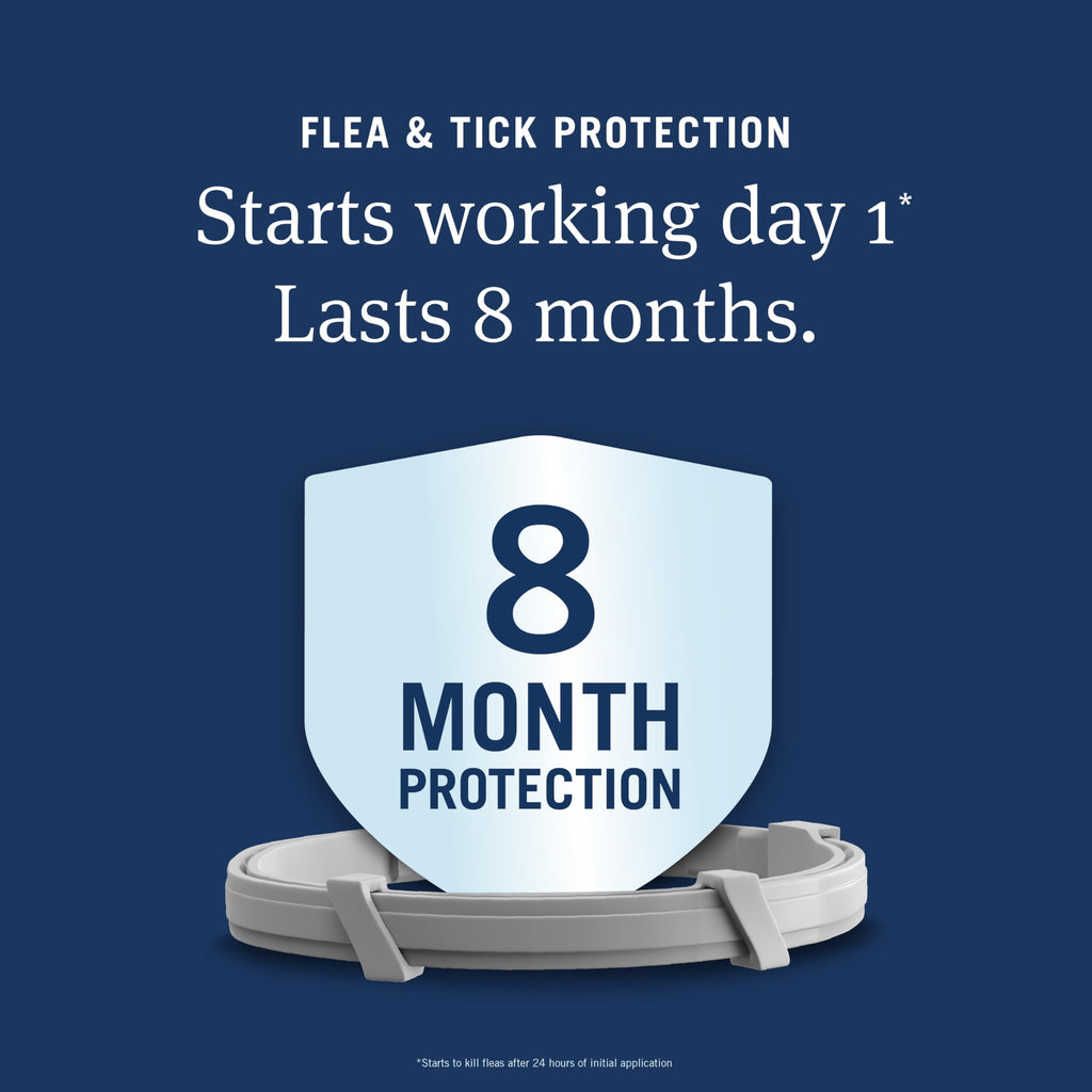 Large Dog Flea and Tick Collar 8 Months Protection B889
