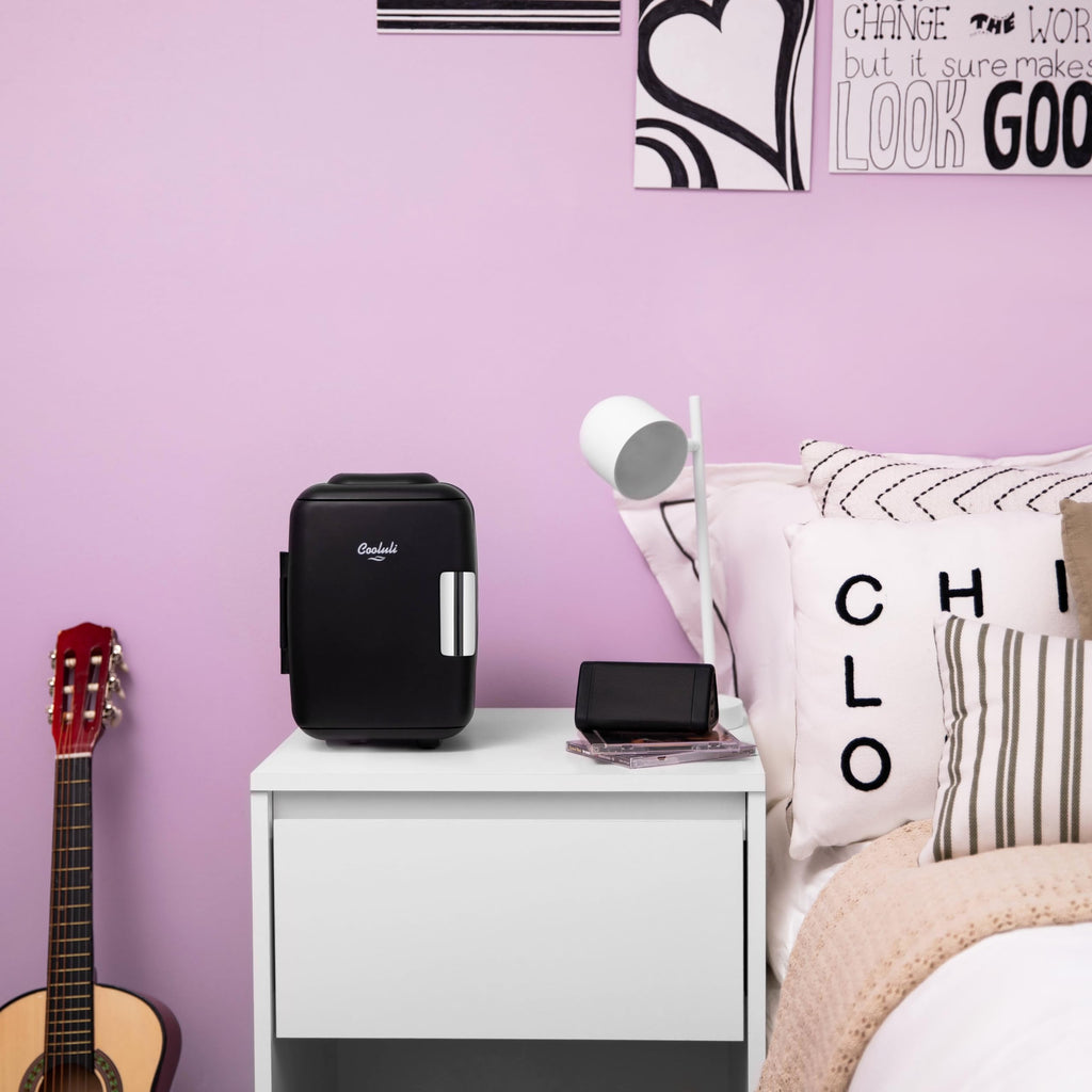 Portable 4L Mini Fridge Cooler & Warmer, Black S53611