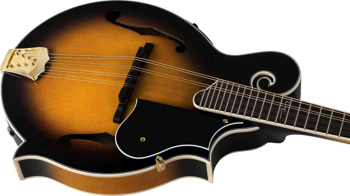 Solid Top F-Style Acoustic-Electric Mandolin Tobacco Sunburst L20099