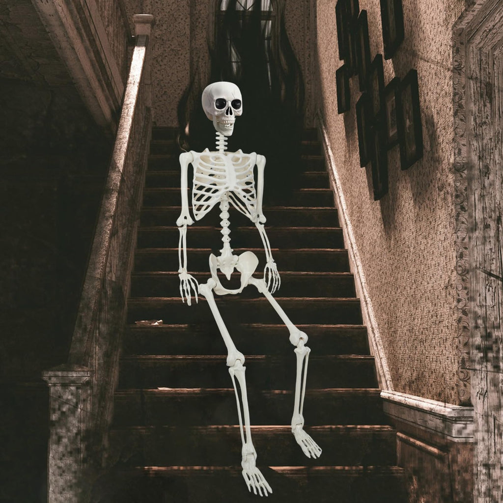 5.4Ft/165cm Life Size Skeleton with Movable Joints L7630