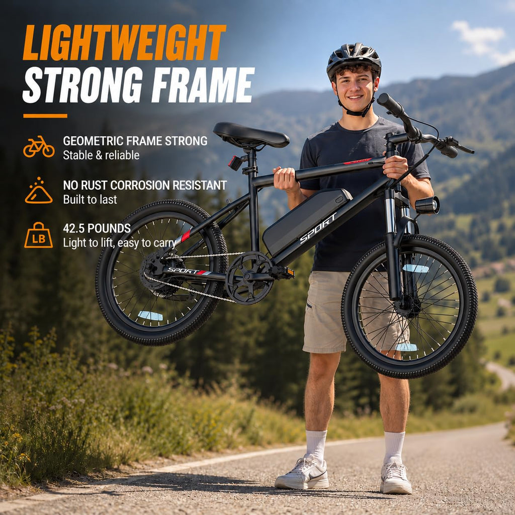 Electric Bike for Adults 1000W Peak Motor 20"/26" Mountain Ebike T514874