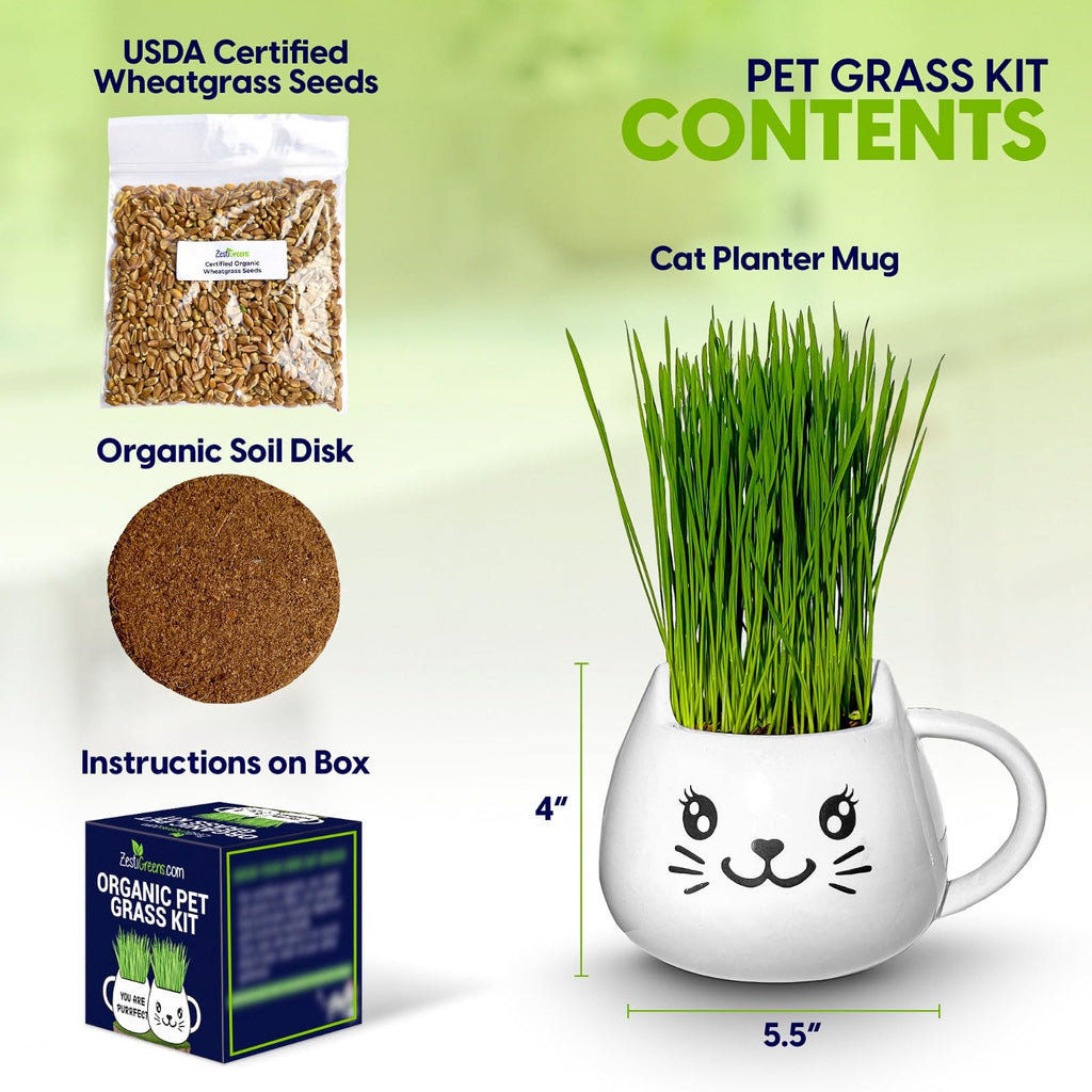 Cat Grass Growing Kit with Seeds, Soil & Ceramic Planter I2752
