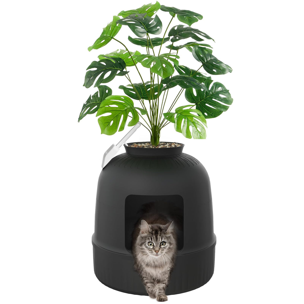 Black Cat Litter Box with Scoop X21797