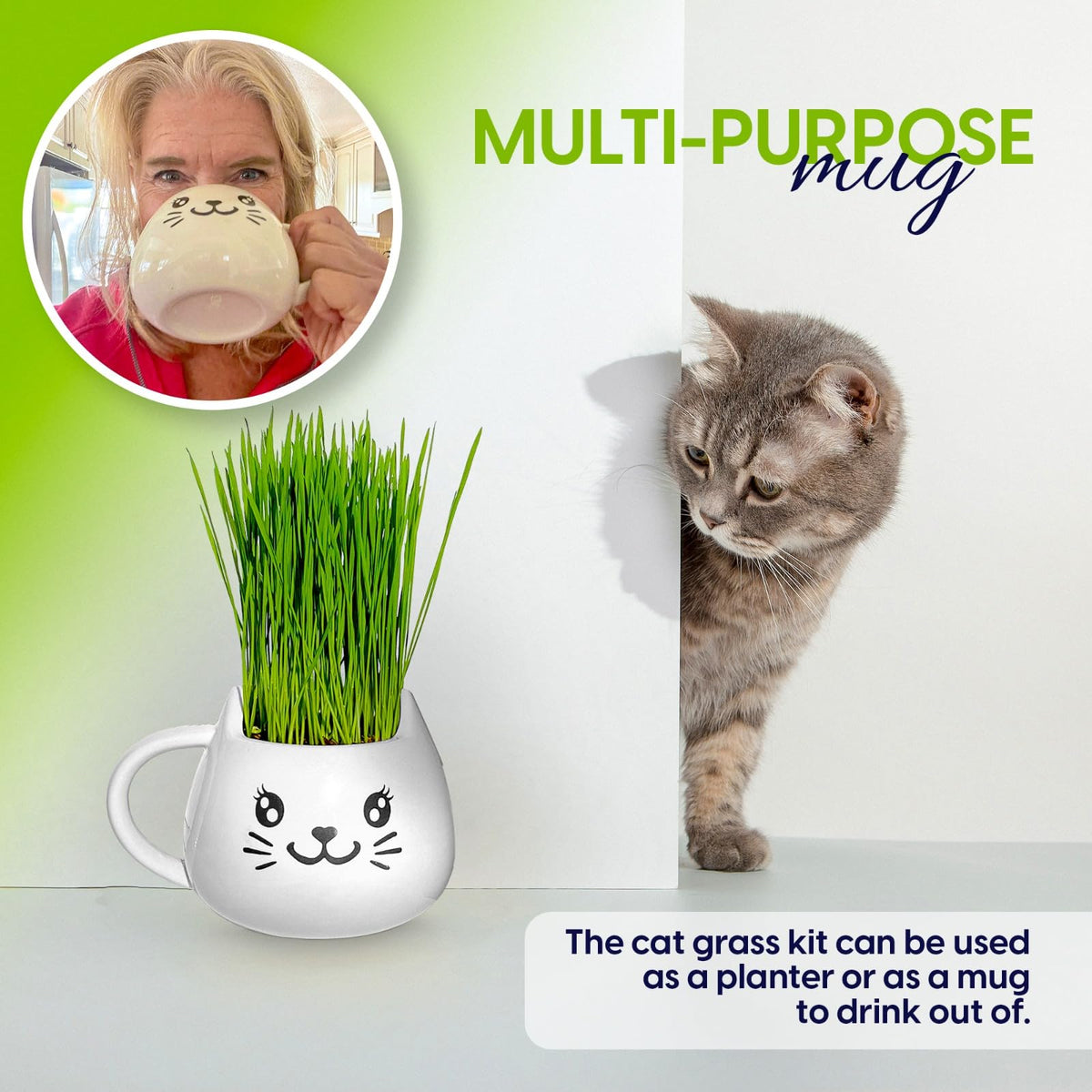Cat Grass Growing Kit with Seeds, Soil & Ceramic Planter I2752