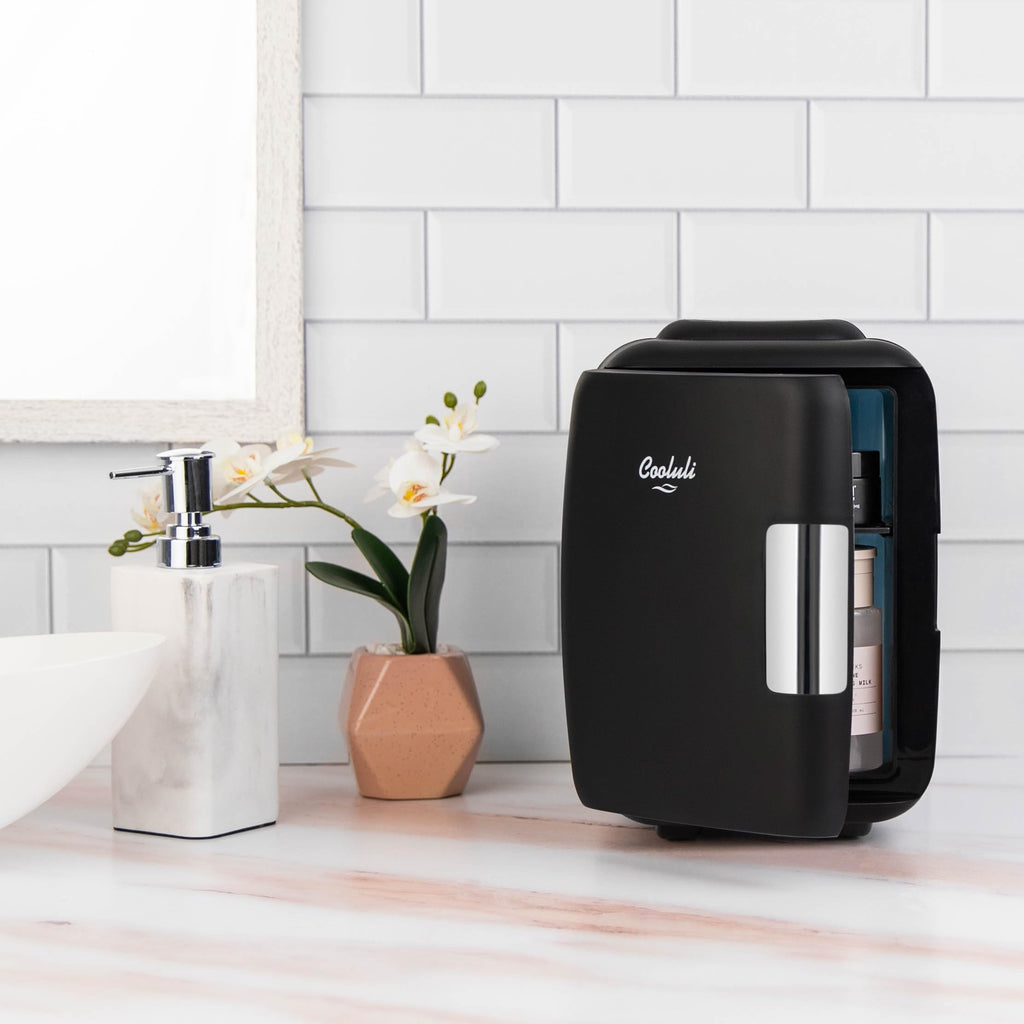 Portable 4L Mini Fridge Cooler & Warmer, Black S53611