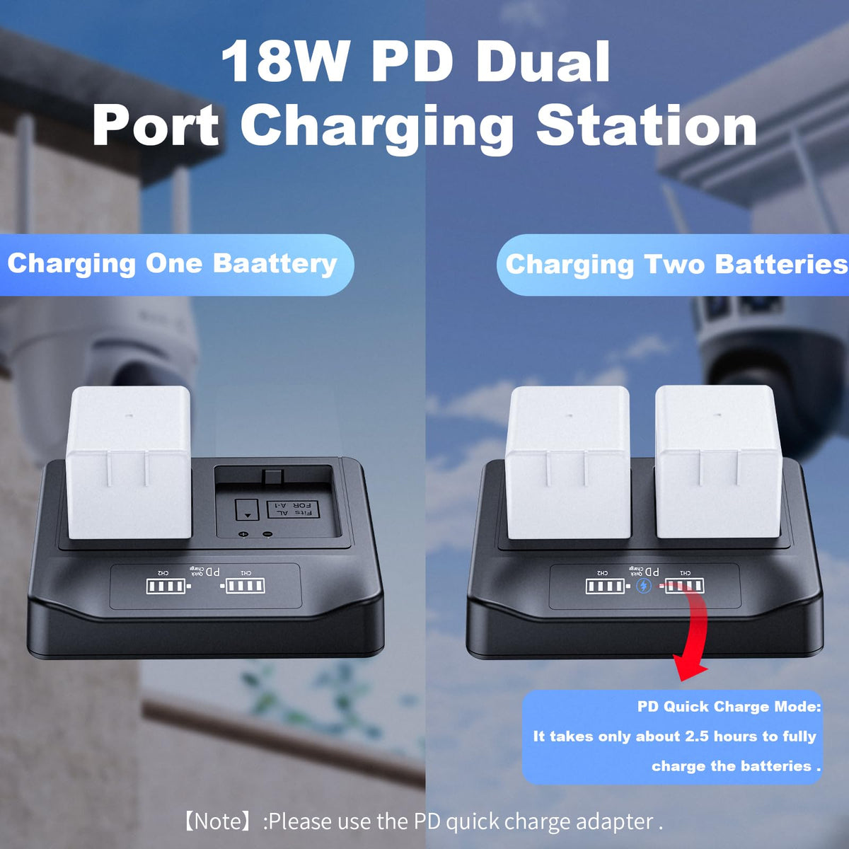 2-Pack Rechargeable Batteries with LCD Dual Charger S981633