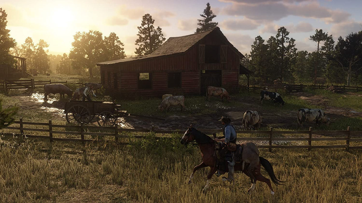 Red Dead Redemption 2 PS4 R68706