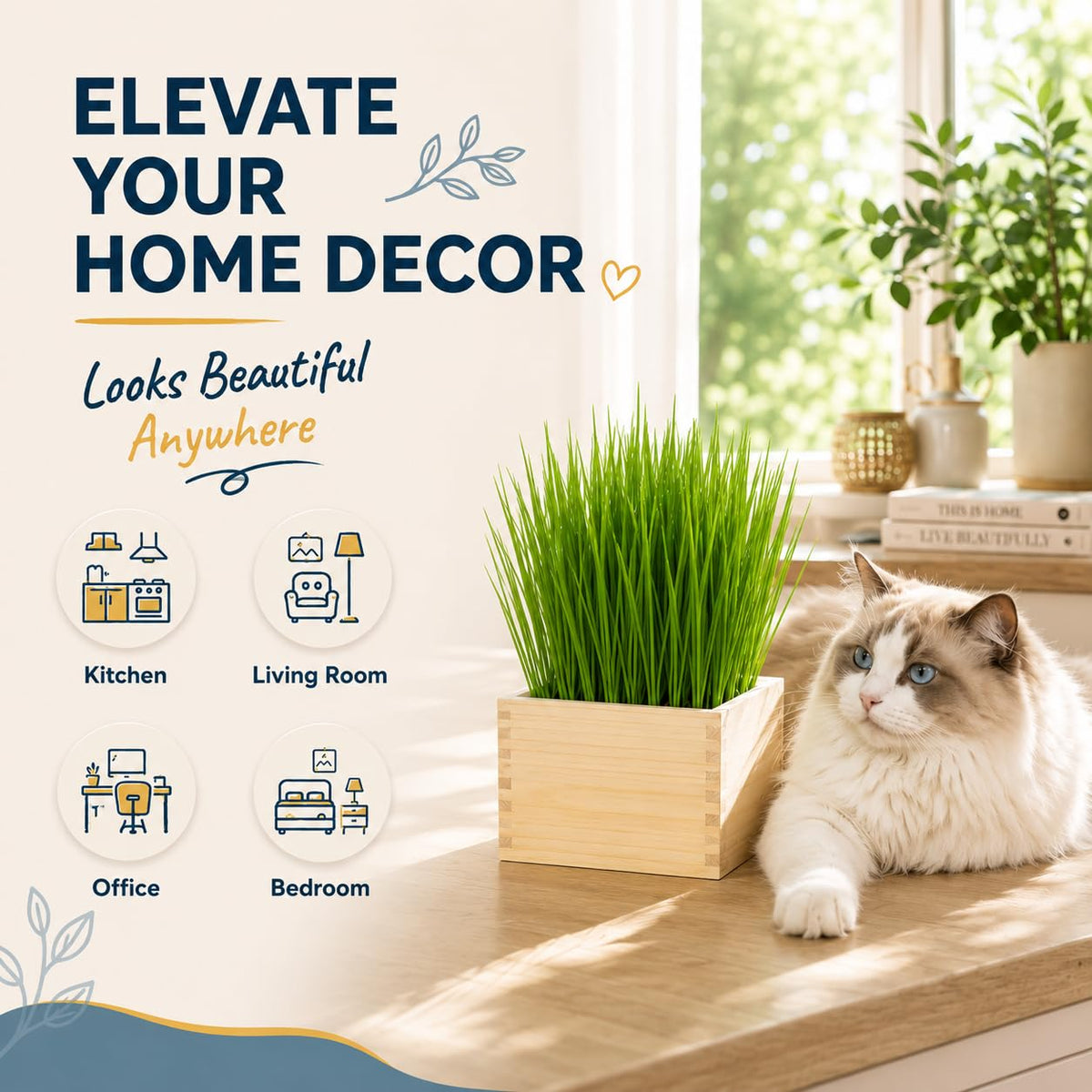 Cat Grass Growing Kit with Wooden Planter W4739