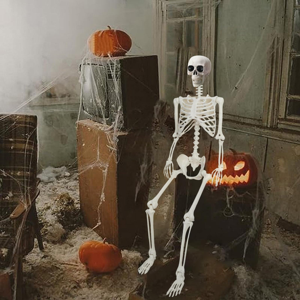5.4Ft/165cm Life Size Skeleton with Movable Joints L7630