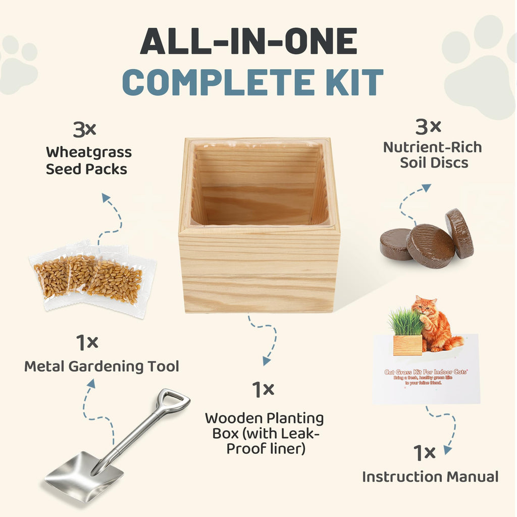 Cat Grass Growing Kit with Wooden Planter W4739