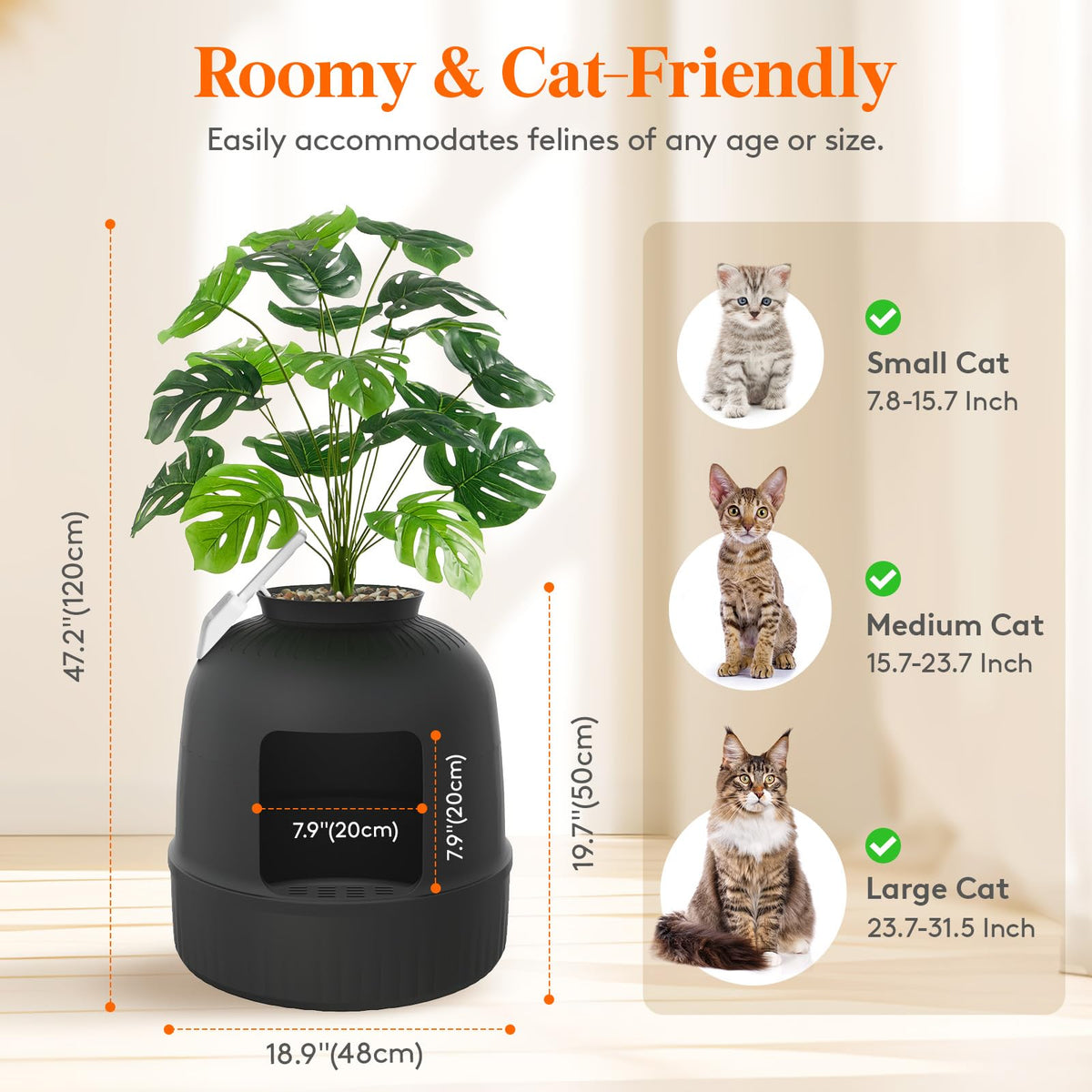 Black Cat Litter Box with Scoop X21797