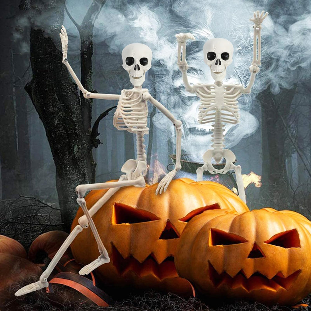 5.4Ft/165cm Life Size Skeleton with Movable Joints L7630