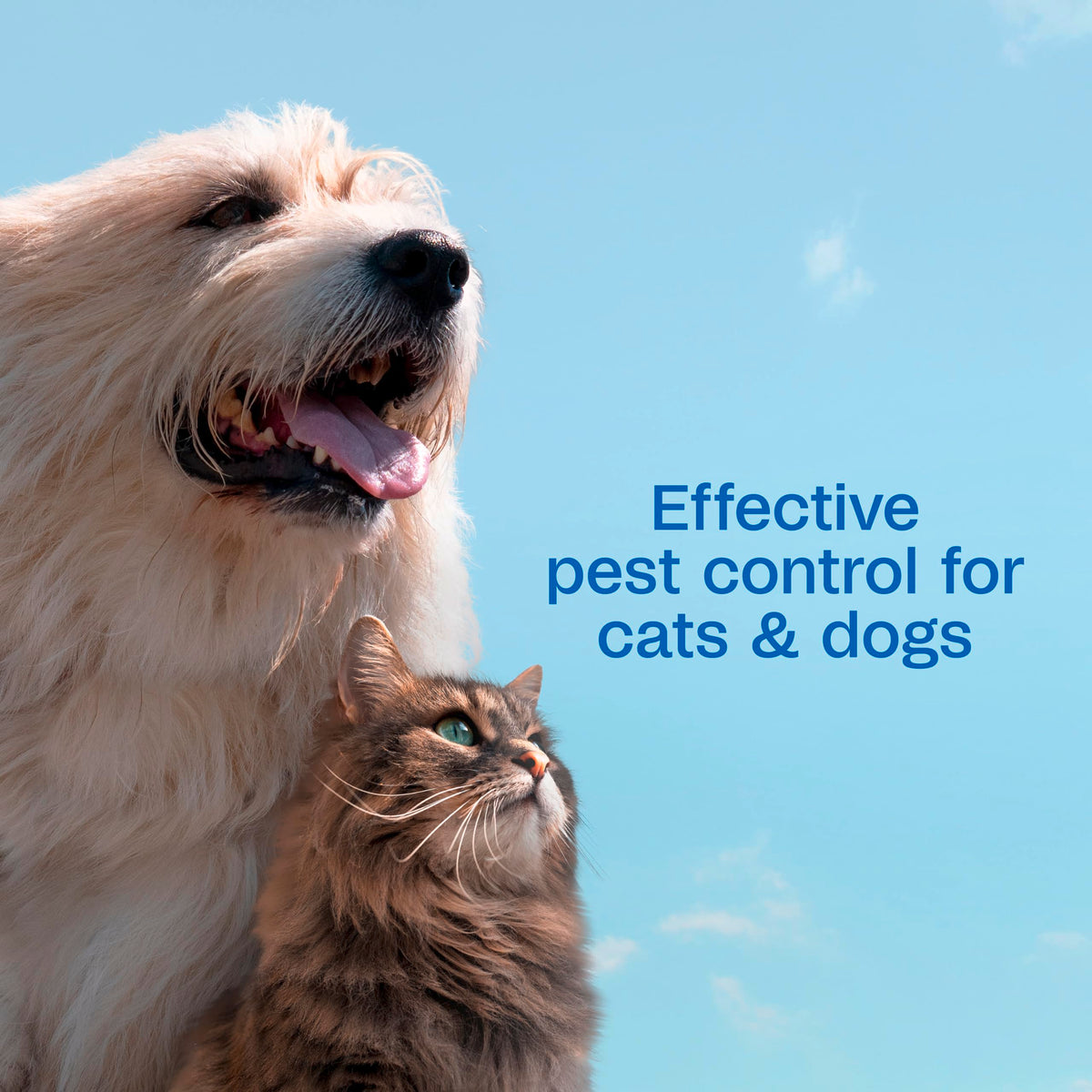 Flea and Tick Spray for Dogs & Cats 16 Fl Oz X80773