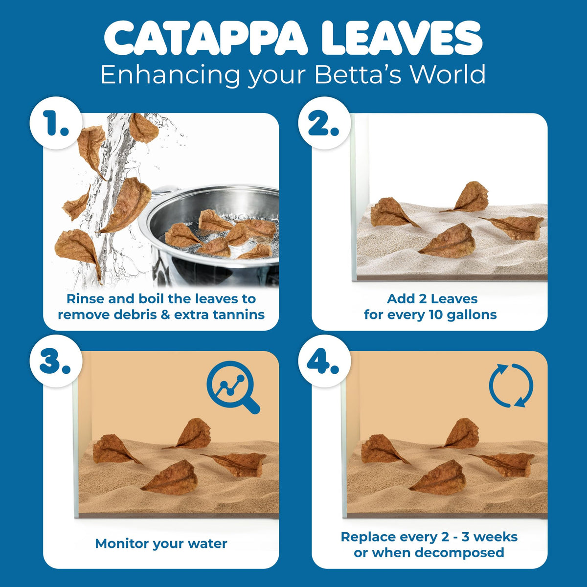 50 pcs Catappa Indian Almond Leaves X38353