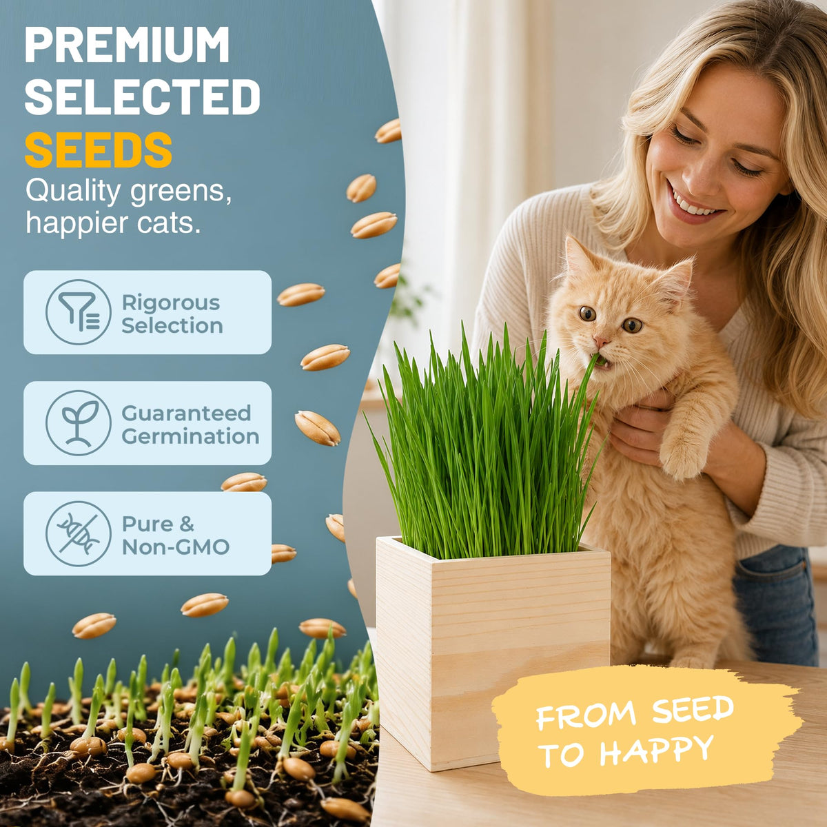 Cat Grass Growing Kit with Wooden Planter W4739