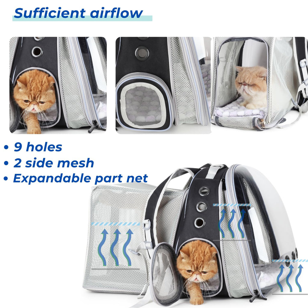 Expandable Cat Backpack with Mini Fan O850285