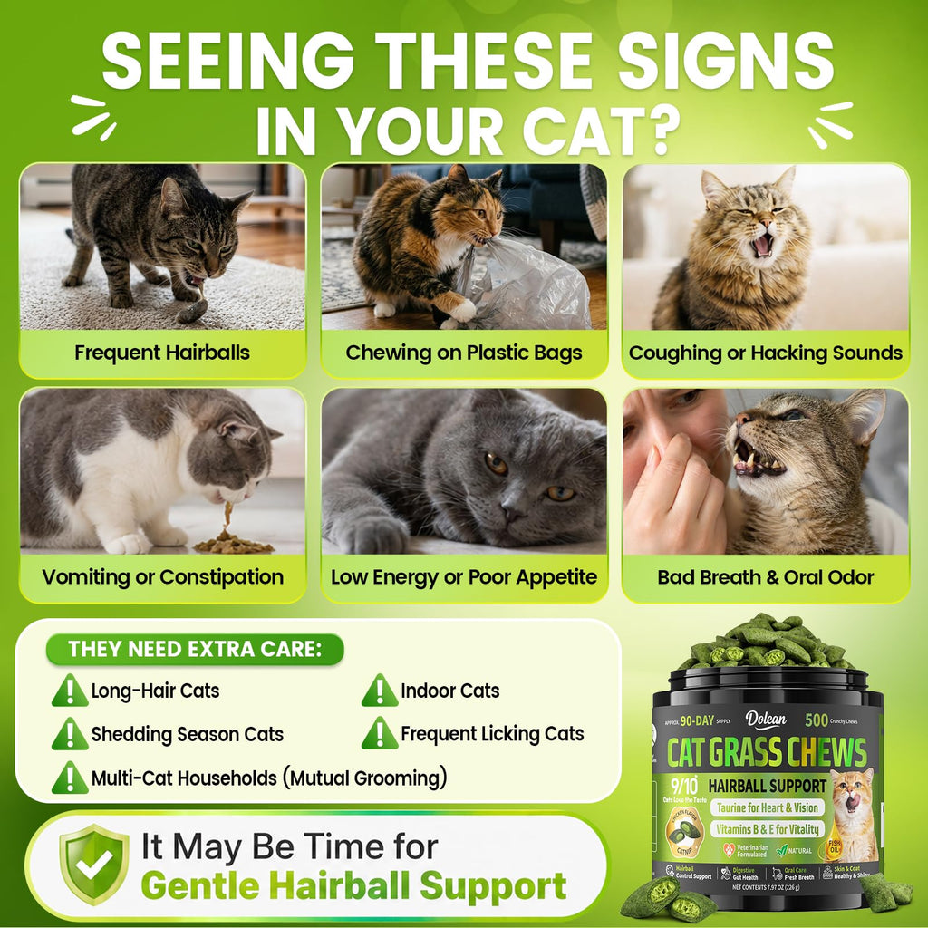 Cat Grass Treats Hairball Treatment for Cats I3173