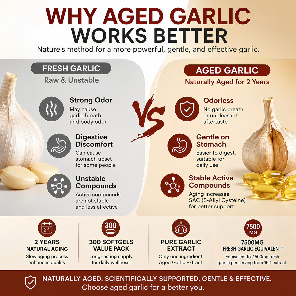 Odorless Aged Garlic Extract 300 Softgels O6467