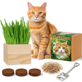 Cat Grass Growing Kit with Wooden Planter W4739