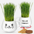 Cat Grass Growing Kit with Seeds, Soil & Ceramic Planter I2752