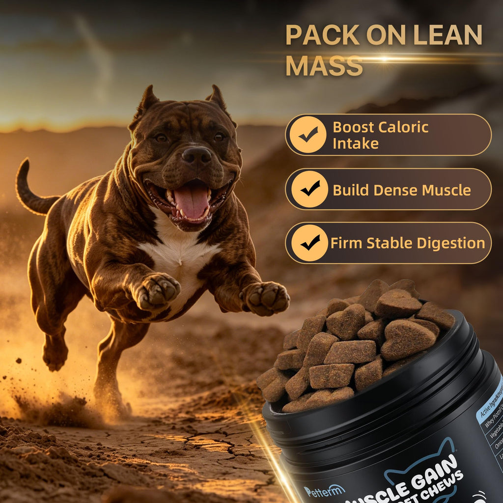 High Calorie Dog Chews 100 Ct D70805