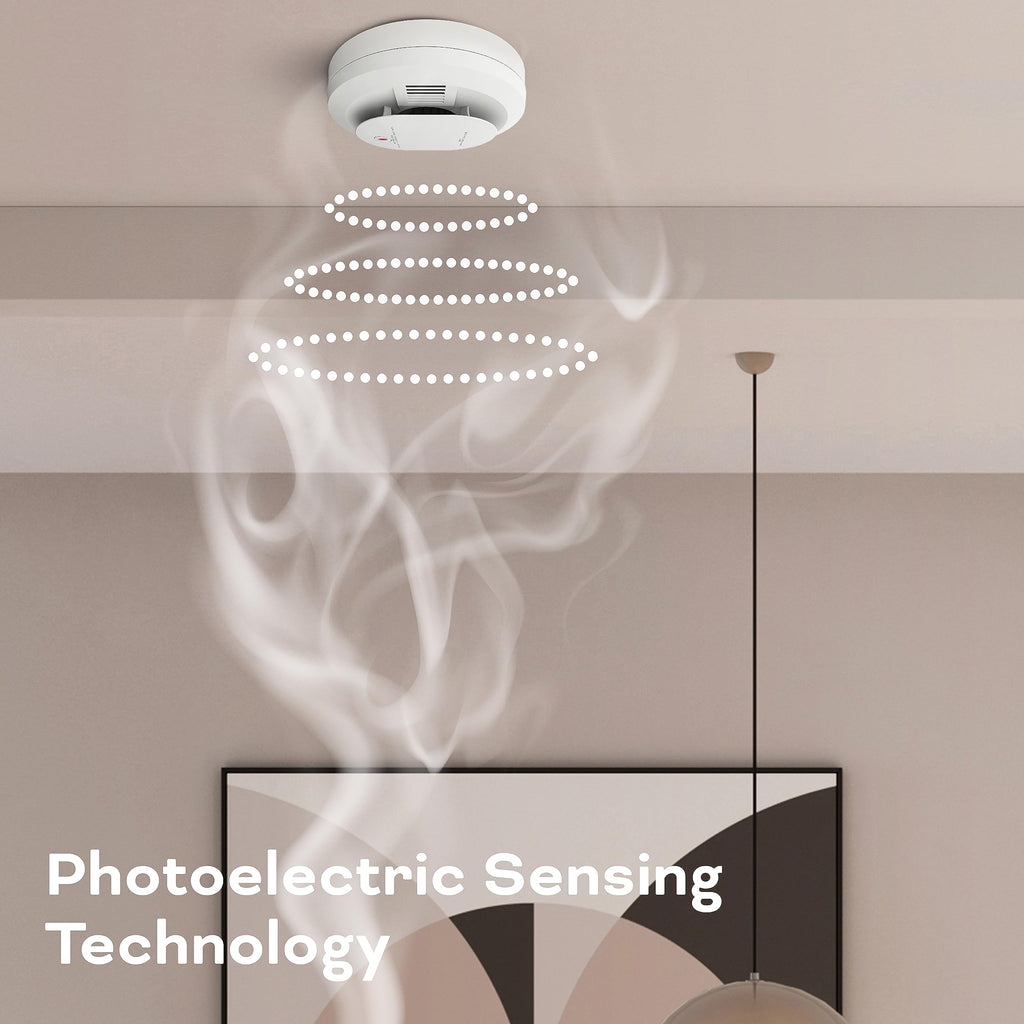 Smoke & Carbon Monoxide Detector, AA Battery Powered, 1 Pack V169513