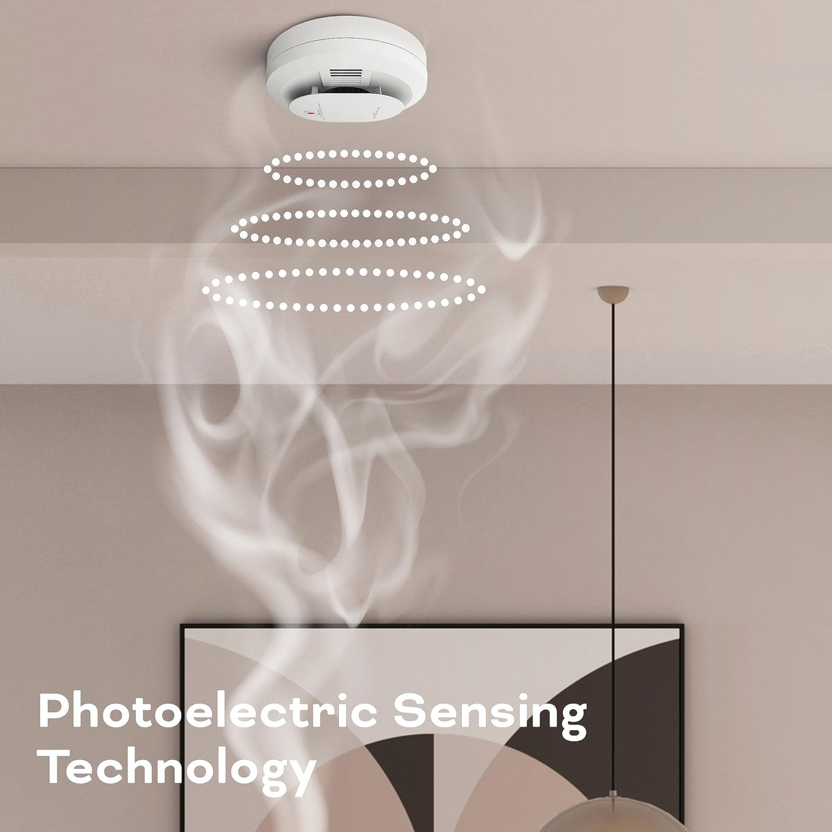 Smoke & Carbon Monoxide Detector, AA Battery Powered, 1 Pack V169513