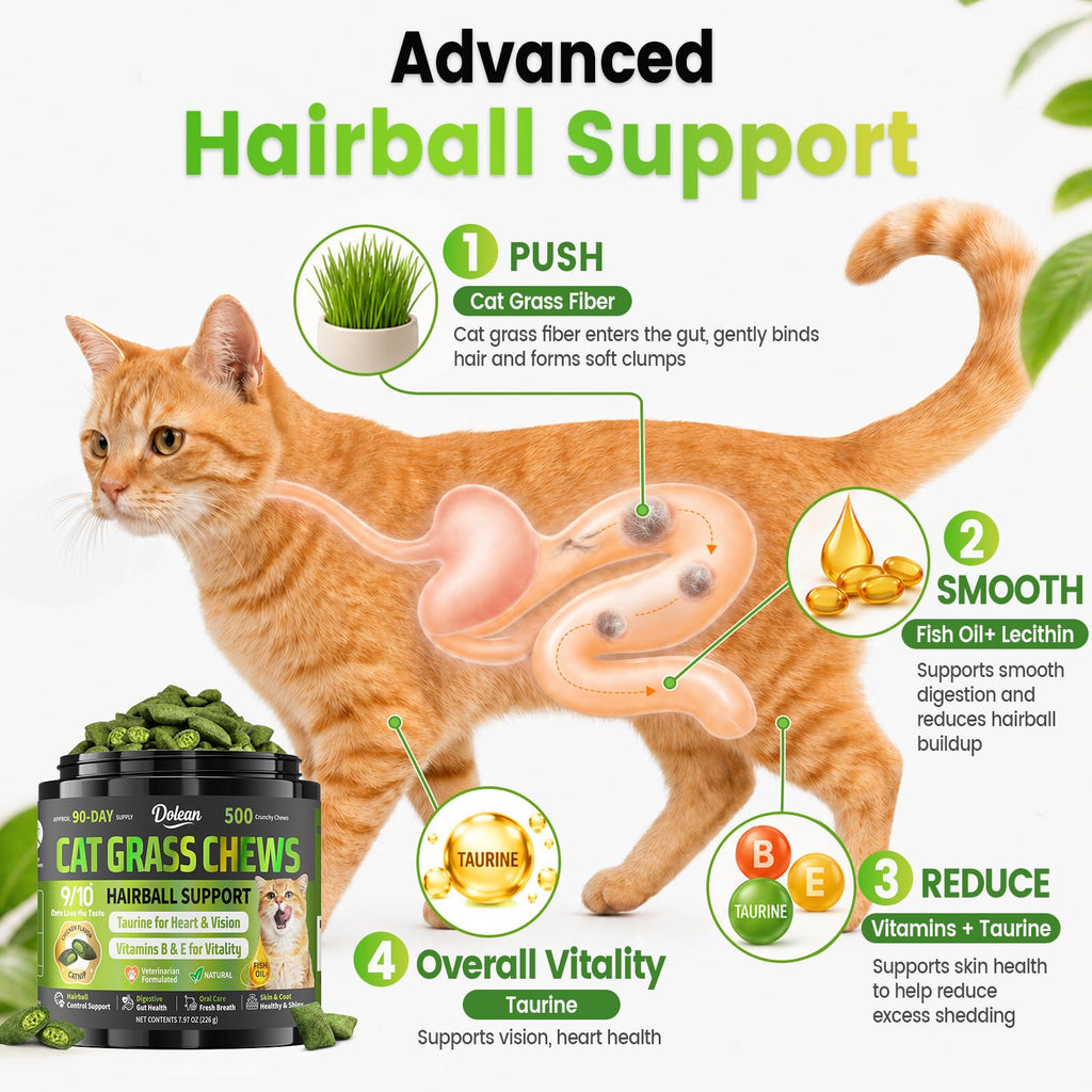 Cat Grass Treats Hairball Treatment for Cats I3173